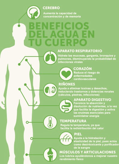 La importancia de beber líquidos