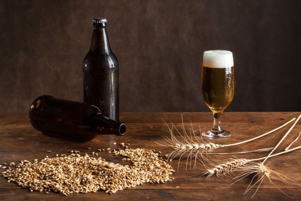 como hacer cerveza ecologica